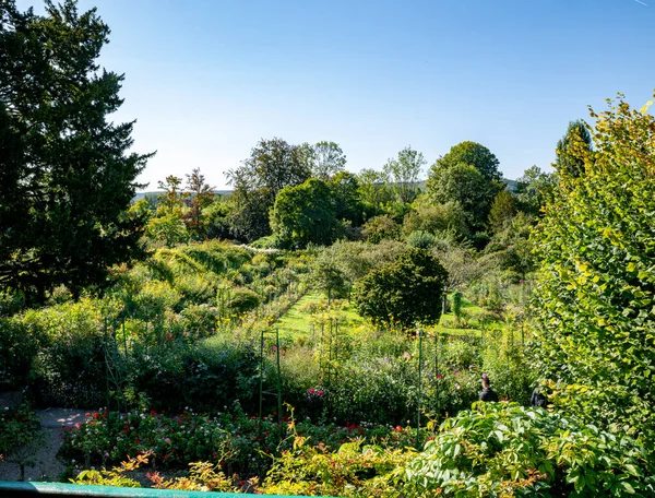 法国北部诺曼底Giverny的莫奈花园 园中有树木和花朵 — 图库照片