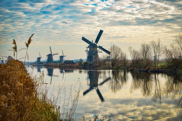 Unesco Patrimonio Humanidad Grupo Molinos Viento Kinderdijk Holanda Europa Molinos —  Fotos de Stock