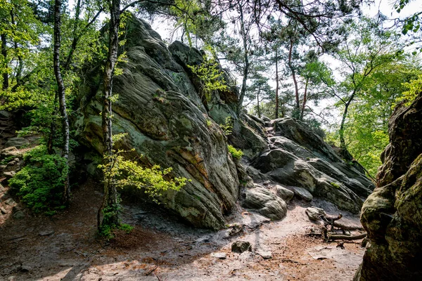 Rocas Grandes Raíces Árboles Sendero Pie Teutoburgerwald Alemania — Foto de Stock