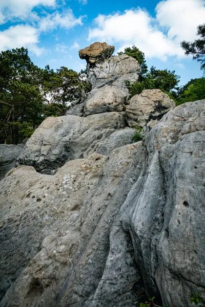 Rocas Grandes Raíces Árboles Sendero Pie Teutoburgerwald Alemania — Foto de Stock