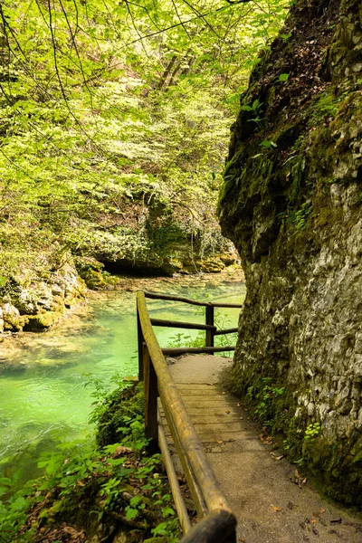 Vintgar Gorge Triglav国家公园 Julian Alps 斯洛文尼亚 — 图库照片