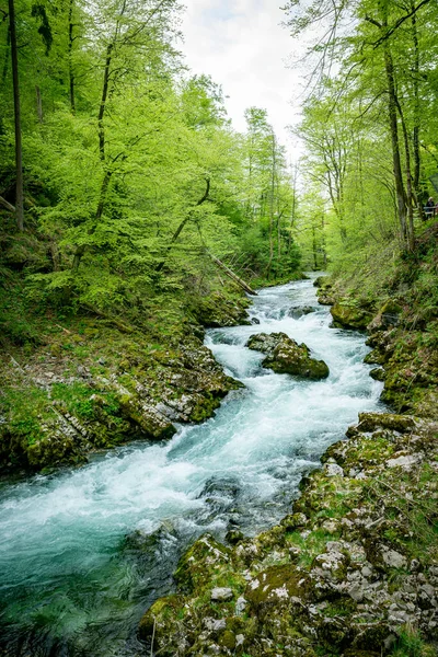 Vintgar Ущелині Водоспад Словенії Національний Парк Триглав Чистої Прісної Води — стокове фото