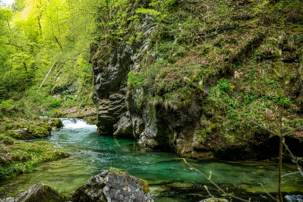スロベニアのヴィンタール渓谷の滝 トリグラフ国立公園の岩 美しい自然と森の中で純粋な新鮮な水 滝の近くの観光コース — ストック写真