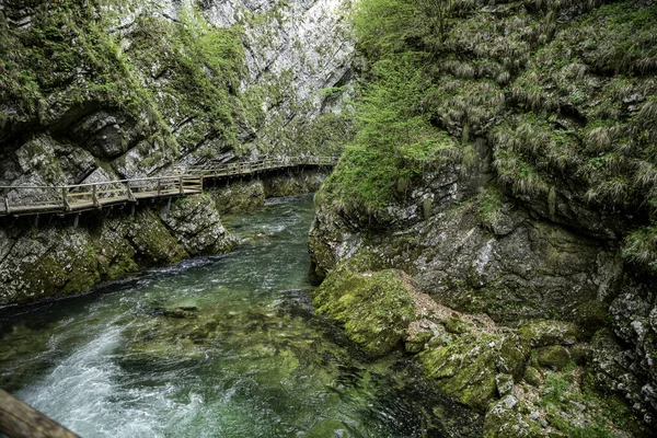 Cachoeira Desfiladeiro Vintgar Eslovénia Parque Nacional Triglav Água Fresca Pura — Fotografia de Stock