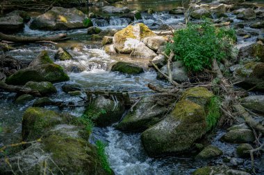 Nehirde küçük bir şelale ve taşların üzerinde yosun var.