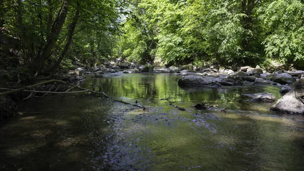 一条缓缓流淌的河 岸边的水树上泛着绿色的倒影 — 图库照片