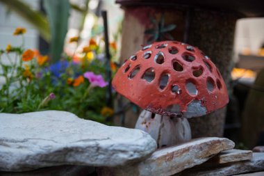 sahte mantar Amanita muscaria açık havada çiçekler ve taşlarla