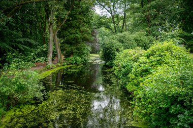 Hollanda 'nın Vlodrop şehrinde çok güzel bir park. Bir sürü yeşil ağaçla çalılar, bitkiler ve ördekler ile gölcükler. Arka planda da da kırmızı yapraklar var.