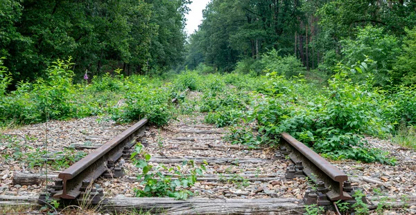 Een Oude Overwoekerde Spoorlijn Eindigt Het Groen Het Midden Van — Stockfoto