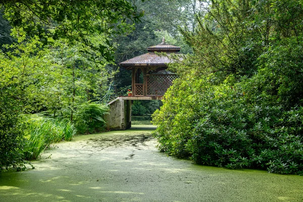 Hermosa Pagoda Madera Parque Con Estanques Jardines Con Árboles Verdes —  Fotos de Stock