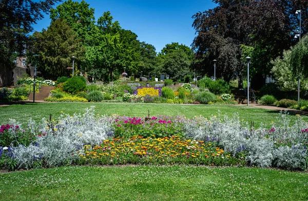 Beau Jardin Anglais Avec Herbe Bordures Avec Des Arbres Verts — Photo