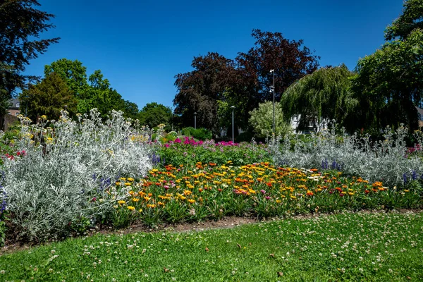 Belo Jardim Inglês Com Grama Fronteiras Com Árvores Verdes Flores — Fotografia de Stock