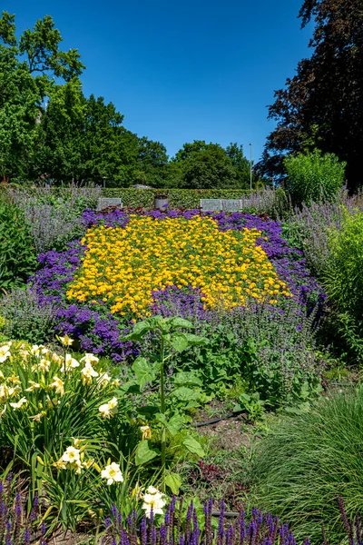 Hermoso Jardín Inglés Con Hierba Fronteras Con Árboles Verdes Flores —  Fotos de Stock