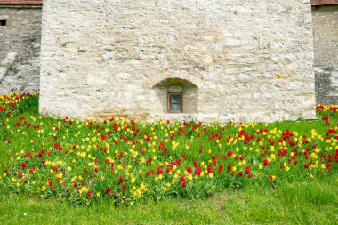Berching Kulesi 'nde kırmızı ve sarı renkli laleler açan şehir, tamamen korunmuş bir kent duvarı ve alçak akarsuları olan tarihi bir kasabadır..