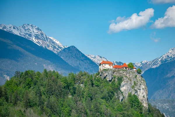 Colorful Bled Rock Top Castle Background Slovenia — Stock Photo, Image