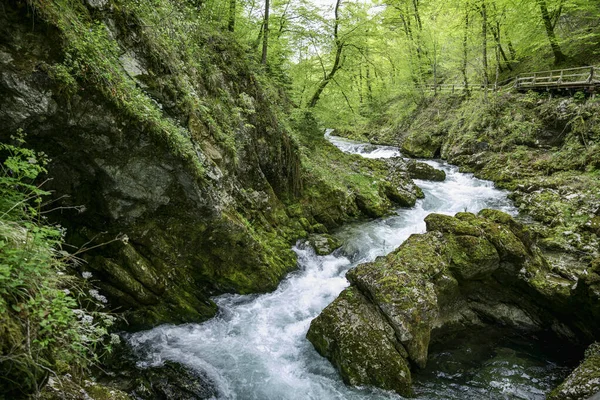 Vintgar 峡谷瀑布在斯洛文尼亚 Triglav 国家公园 纯净的淡水在美丽的自然和森林 瀑布附近的旅游路线 — 图库照片