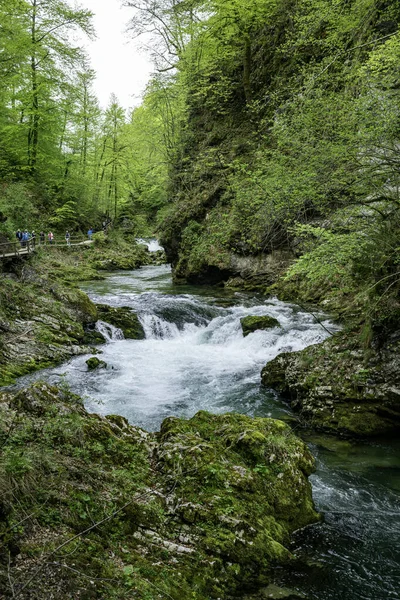 Podhom Eslovenia 2023 Personas Cascada Del Desfiladero Vintgar Eslovenia Parque —  Fotos de Stock