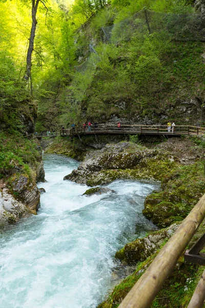 ポドホム スロベニア 2023年 スロベニア トリグラフ国立公園のビンガー峡谷の滝の人々 美しい自然と森の中で純粋な新鮮な水 滝の近くの観光コース — ストック写真