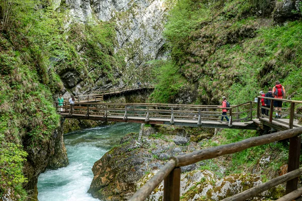 Podhom Słowenia 2023 Ludzie Przy Wodospadzie Wąwozu Octowego Słowenii Park — Zdjęcie stockowe