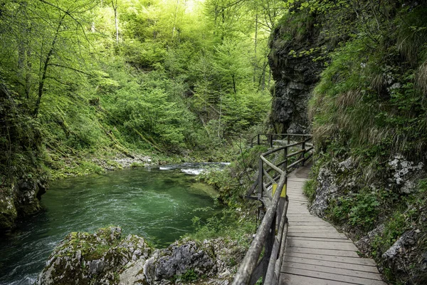 温特加峡谷瀑布在斯洛文尼亚 特里格拉夫国家公园 清澈的绿水 美丽的自然和森林 瀑布附近的旅游径 — 图库照片