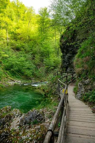 スロベニア トリグラフ国立公園のヴィンタガー豪華な滝 美しい自然と森の中の純粋な緑の水 滝の近くの観光パス — ストック写真