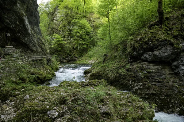 温特加峡谷瀑布在斯洛文尼亚 特里格拉夫国家公园 清澈的绿水 美丽的自然和森林 瀑布附近的旅游径 — 图库照片