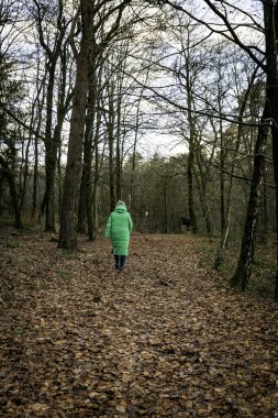 Gri saçlı, açık yeşil, uzun paltolu yetişkin bir kadın ağaçların arasında yapraklarla dolu bir patikada ormanda yürüyor...