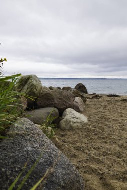 beach with rocks in denmark with lot of green plants and trees trelde naes at the kattegat water vertical portrait format clipart