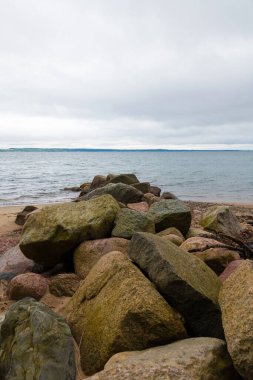 Danimarka 'da kayalıkları olan bir plaj. Kattegat suyunda bir sürü yeşil bitki ve ağaç var.