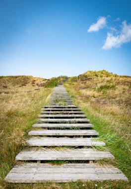 Danimarka 'daki senin milli parkındaki kum tepeciği. Yeşil alana kadar merdiveni olan fundalık ve diğer bitkiler.
