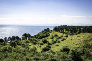 Açık mavi gökyüzünün altındaki yemyeşil tepelerle okyanus buluşmasının nefes kesici bir görüntüsü. Mols bjerge Danimarka 'da doğa, seyahat ve açık hava temaları için idealdir
