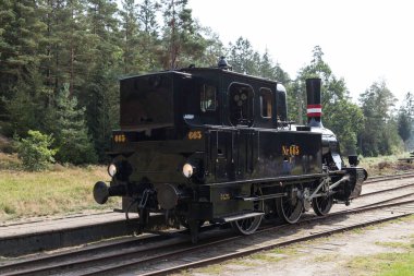 vrads, Danimarka, 08-09-2024: Klasik bir buhar lokomotifi tarihi mühendislik ve taşımacılık sergiliyor. Yeşillik Danimarka 'daki Vrad İstasyonu' nun cazibesini ve nostaljik hissini arttırıyor.,