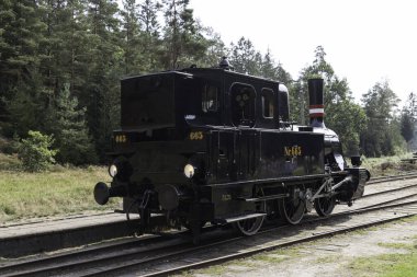 vrads,denmark,08-09-2024:A classic steam locomotive travels through a scenic forest track, showcasing historical engineering and transportation. The lush greenery adds to the charm and nostalgic feel on vrad station in denmark, clipart