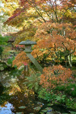Huzurlu bir sonbahar manzarası bir Japon bahçesinde canlı yapraklar içerir. Sakin bir gölet renkli yaprakları yansıtır, barışçıl ve uyumlu bir atmosfer yaratır. Doğa ve zen temalı kavramlar için mükemmel.