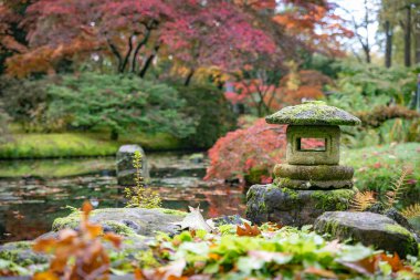 Huzurlu bir Japon bahçesi, canlı bir sonbahar yeşilliği ve yansıtıcı bir gölet ile çevrili yosun kaplı taş bir fener sergiliyor. Huzuru ve doğal güzelliği somutlaştıran sakin bir ortam.