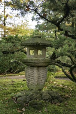 Sakin bir Japon taş feneri yemyeşil ve yosunların arasında duruyor ve rahatlatıcı bir bahçe atmosferi yaratıyor. Huzur, doğa ve geleneksel Japon estetiği temaları için mükemmel..