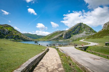 Covadonga, İspanya, 20 Mayıs 2025: Kırsal yolun sonundaki Enol Gölü 'nde oturan ve yürüyen insanlar Picos' tan yemyeşil çimlerle kaplı tepeler boyunca kıvrılarak İspanya 'daki uropa, tepemizde mavi gökyüzü