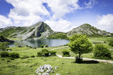 İspanya 'daki Picos de Europa dağlarındaki Covadolga Gölü' nün iki gölünden biri.