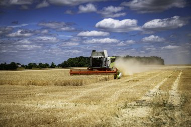 Güneşli bir günde hasat mevsiminde hasat tarlasında faaliyet gösteren hasat makineleri dağınık bulutlarla modern tarım teknolojisini ve kırsal alanların büyüklüğünü gözler önüne seriyor..
