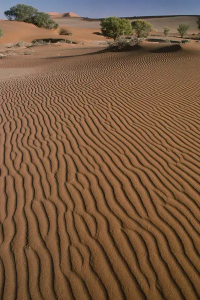 Vzor Pouštním Písku Namibie — Stock fotografie