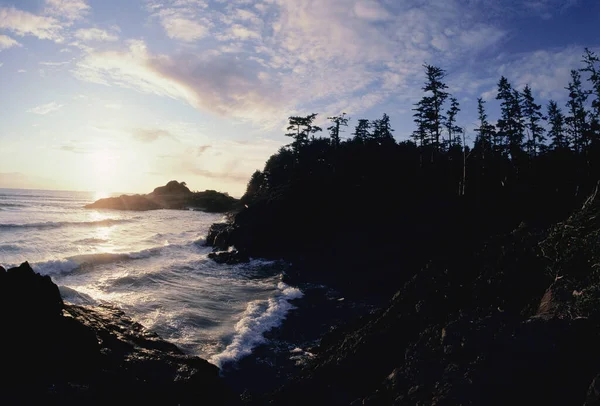Langer Strand Insel Vancouver Kolumbien Britisch Kanada — Stockfoto