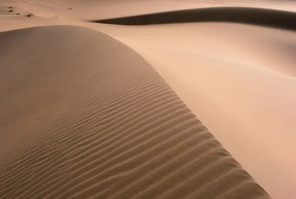 Ripples Sand Dune Namibia — Stock Photo, Image