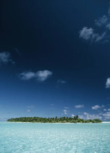 热带海景 有椰子树的岛屿 — 图库照片