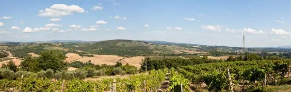 Winnica Toskanii Włochy — Zdjęcie stockowe
