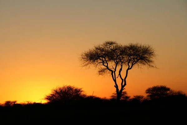 Puesta Del Sol Okahandja Región Otjozondjupa Namibia — Foto de Stock