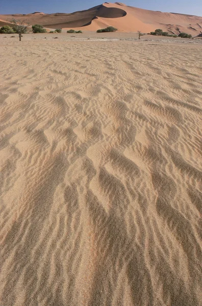 Μοτίβο Στην Άμμο Της Ερήμου Ναμίμπια — Φωτογραφία Αρχείου