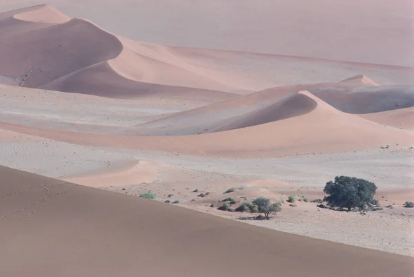 Paisaje Del Hermoso Desierto Sossusvlei Namibia — Foto de Stock