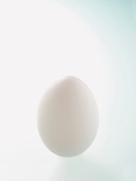 Huevo Blanco Sobre Fondo Blanco — Foto de Stock