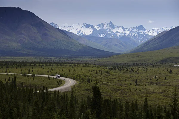 Väg Genom Denali National Park Alaska Usa — Stockfoto
