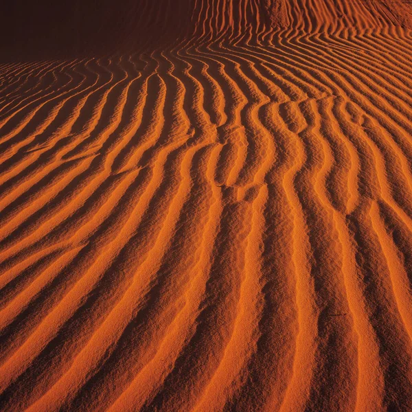 Desierto Duna Arena Roja —  Fotos de Stock